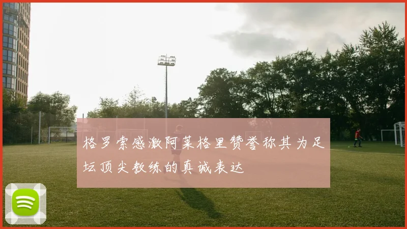 格罗索感激阿莱格里赞誉称其为足坛顶尖教练的真诚表达